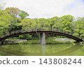 Springtime park, Taiko Bridge 143808244