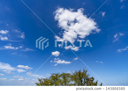 秋日的藍天、白雲和樹木 秋日的藍天、白雲和樹木 143808380