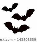 bats in the sky 143808639