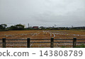 Rice paddies still wet with rainwater, and a rural landscape under a cloudy sky. 143808789