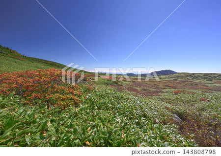 白山的秋天景色 白山的秋天景色 143808798