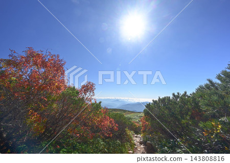 白山的秋天景色 白山的秋天景色 143808816
