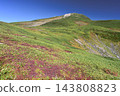 白山的秋天景色 143808823
