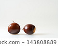 Shiny chestnuts fresh out of their burrs. White background. Copy space. 143808889