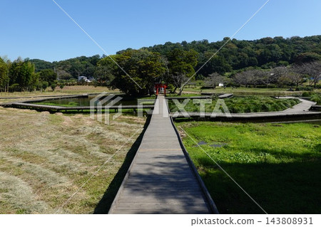 嚴島濕地公園 143808931
