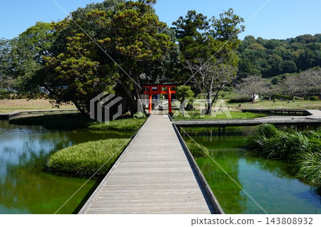 嚴島濕地公園 嚴島濕地公園 143808932