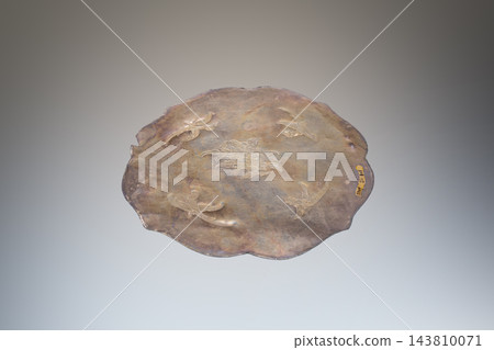 Tang Dynasty Silver Box Base with Parrot Pattern, Zhenjiang Museum Collection, Unearthed from Dingmaqiao Tang Hoard in Zhenjiang, Jiangsu Tang Dynasty Silver Box Base with Parrot Pattern, Zhenjiang Museum Collection, Unearthed from Dingmaqiao Tang Hoard in Zhenjiang, Jiangsu 143810071