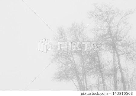Monochrome landscape, snowy field and trees in white fog. 143810508