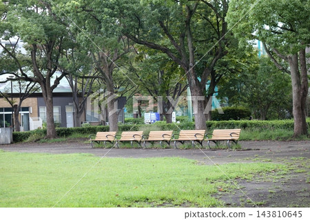 綠樹成蔭的公園廣場上,一排排木製長椅整齊排列。 綠樹成蔭的公園廣場上,一排排木製長椅整齊排列。 143810645