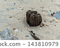 Weathered wooden post surrounded by sand and debris 143810979