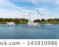 Flock of Birds Flying Above Fountains in a Landscaped Pond 143810986