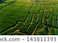 Beautiful sunrise over green rice fields and mountain landscape in countryside 143811393