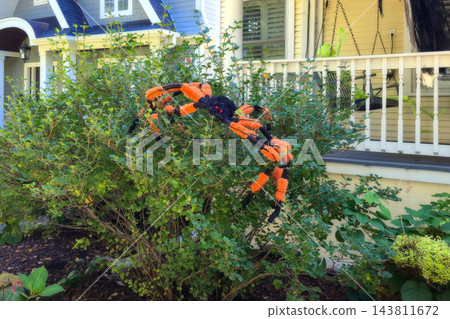 Orange and Black Halloween Spider Decoration in Shrubs by a Front Porch 143811672