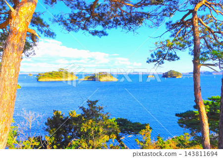 從馬背上的松樹林間眺望松島灣的島嶼。 從馬背上的松樹林間眺望松島灣的島嶼。 143811694