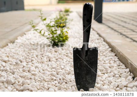White decorative pebbles create a border along a garden path. A black hand trowel stands upright among the pebbles, complementing the landscaping design. White decorative pebbles create a border along a garden path. A black hand trowel stands upright among the pebbles, complementing the landscaping design. 143811878