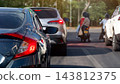 Rear view of black car stop and turn on brake light on asphalt road. Other cars and motorcycle stuck in slow moving traffic near a three way intersection with a forested area on the opposite side. 143812375