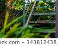 An old staircase showing signs of deterioration over time and a vacant house: Housing deterioration and renovation ideas. 143812438