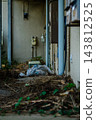 Abandoned garbage and dilapidated apartment buildings: Real estate management and environmental issues 143812525