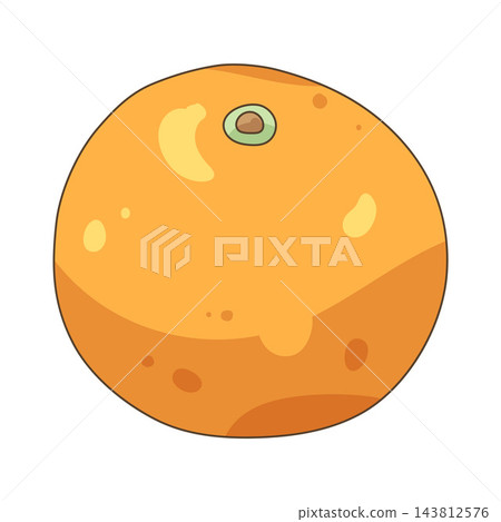 Illustration of mandarin orange 143812576