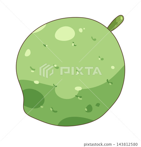 Illustration of lime Illustration of lime 143812580