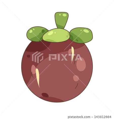 Illustration of mangosteen Illustration of mangosteen 143812664