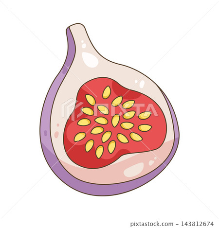 Illustration of fig fruit Illustration of fig fruit 143812674