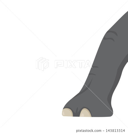 elephant foot isolated on a white background vector illustration element design template 143813314