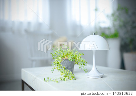 A living room bathed in soft natural light. A living room bathed in soft natural light. 143813632