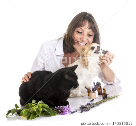 alternative medicine for pet alternative medicine for pet 143815832