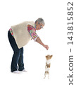 chihuahua and woman in studio 143815852