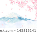 富士山和櫻花的水彩插圖。 143816141
