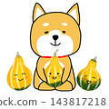 一個可愛的玩具南瓜和一隻微笑的柴犬 143817218