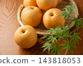 籃子裡的梨子（新高梨） 143818053