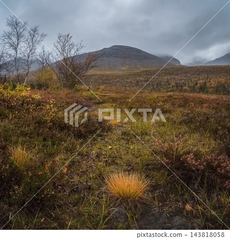 Vertical Autumn Tundra Trail with Fluffy Golden Grass and Moody Mountain Vertical Autumn Tundra Trail with Fluffy Golden Grass and Moody Mountain 143818058