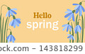 Bright, sunny, horizontal banner Hello, Spring with featuring flowers 143818299