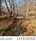 Tokuwa Valley, Hiking, Autumn, Autumn Leaves 143818568