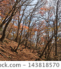 Tokuwa Valley, Hiking, Autumn, Autumn Leaves 143818570