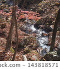 Tokuwa Valley, Hiking, Autumn, Autumn Leaves 143818571