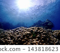 陽光、蔚藍的海、珊瑚和魚 143818623