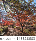 Park: Shingen-zutsumi Park - Autumn Leaves 143818683