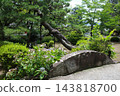 惠靈寺花園裡的松樹 143818700