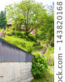 【傳統建築群重要保護區】落合，東祖屋山村：初夏景色，村道（紅條紋路）4，德島縣三好市 143820168