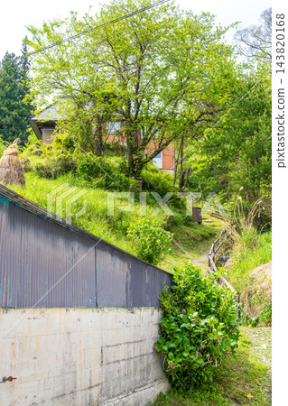 【傳統建築群重要保護區】落合,東祖屋山村:初夏景色,村道(紅條紋路)4,德島縣三好市 【傳統建築群重要保護區】落合,東祖屋山村:初夏景色,村道(紅條紋路)4,德島縣三好市 143820168