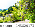 【傳統建築群重要保護區】落合，東祖屋山村：初夏景色－紫藤花與道路，德島縣三好市 143820173