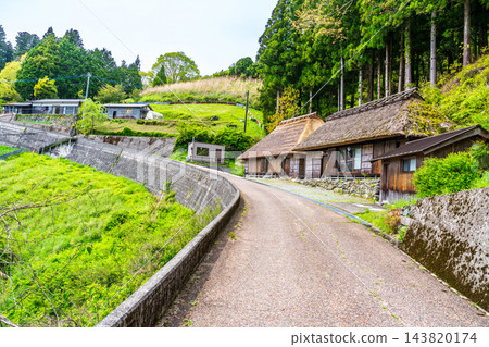 【傳統建築群重要保護區】落合，東祖屋山村：初夏景色－道路與房屋，德島縣三好市 143820174