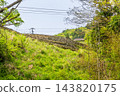 【傳統建築群重要保護區】落合，東祖屋山村：初夏景色－茅草屋頂映襯著石牆－德島縣三好市 143820175