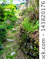 【傳統建築群重要保護區】落合，東祖屋山村：初夏景色，村道（紅條紋路）5，德島縣三好市 143820176