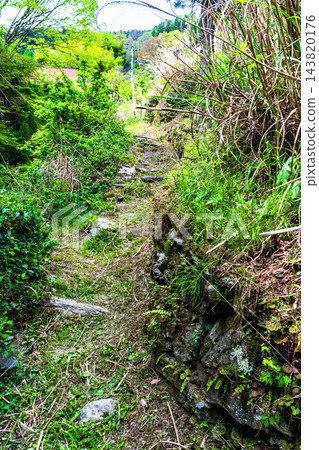 【傳統建築群重要保護區】落合，東祖屋山村：初夏景色，村道（紅條紋路）5，德島縣三好市 143820176