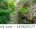 【傳統建築群重要保護區】落合，東祖屋山村：初夏景色，村道（紅條紋路）6，德島縣三好市 143820177