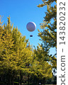 Ginkgo trees and balloons floating in the blue sky 143820232